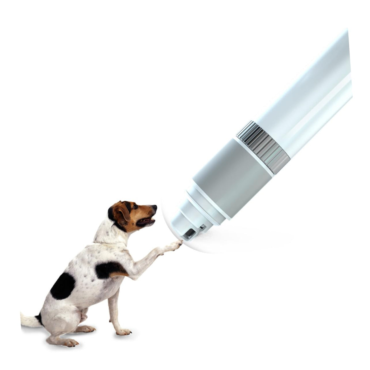 Electric Nail Grinder for Dogs N42408