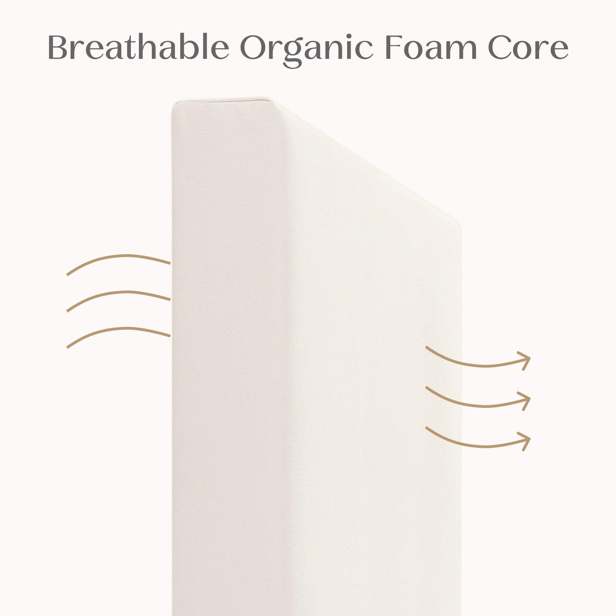 Organic Crib and Toddler Mattress J8779