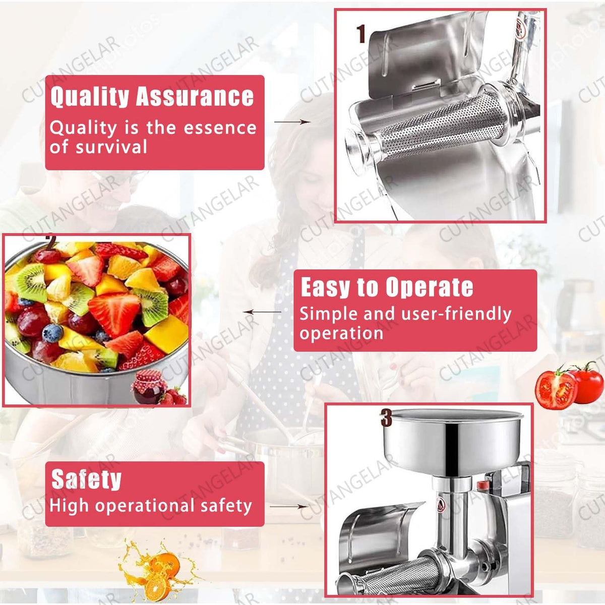 450W Stainless Steel Electric Tomato Strainer M6559
