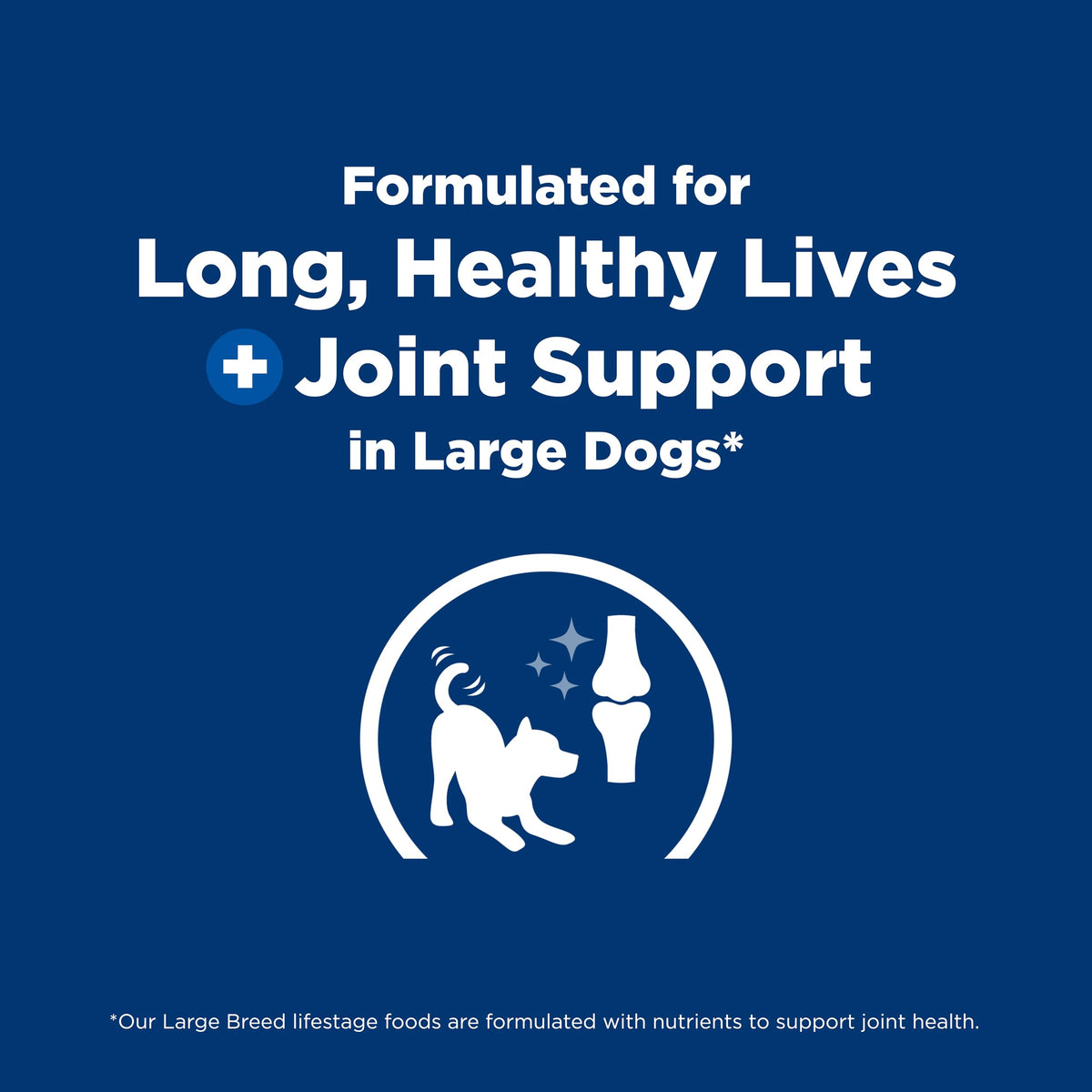 Large Breed Dry Dog Food I68005