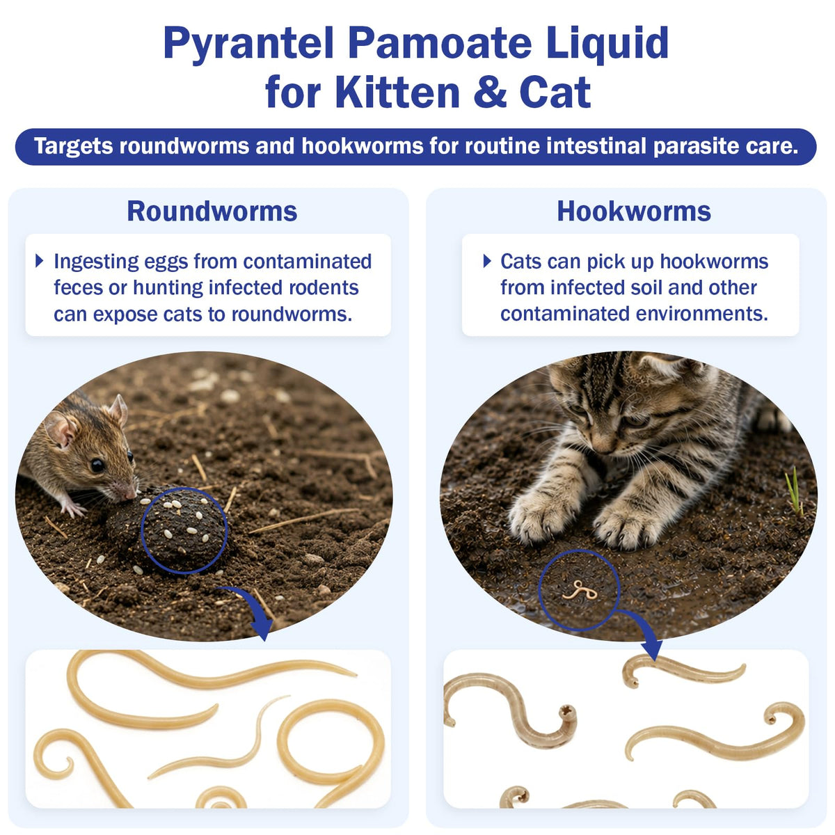 Pyrantel Pamoate Oral Dewormer for Cats & Kittens S72122