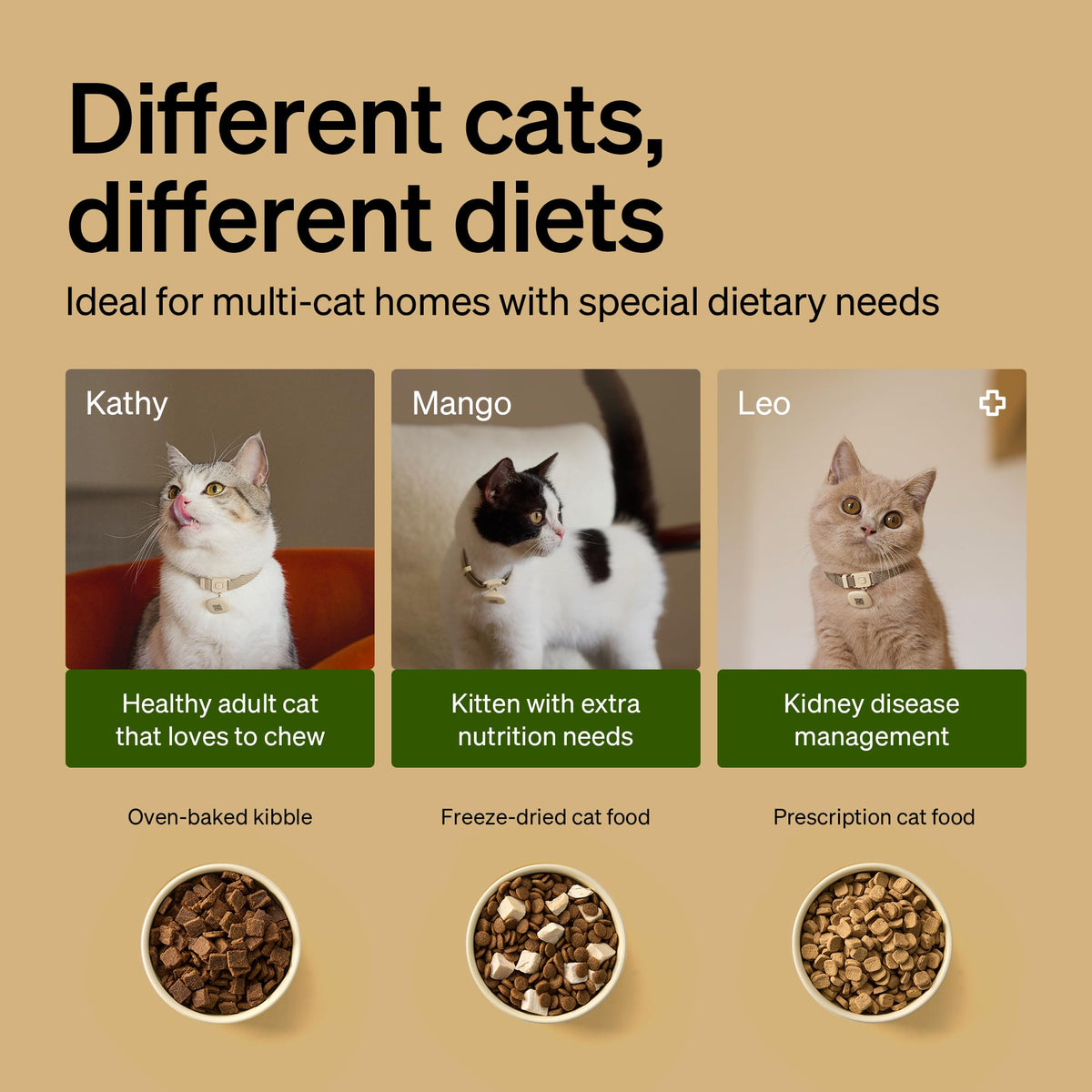 RFID Automatic Cat Feeders for 2 Cats G27138