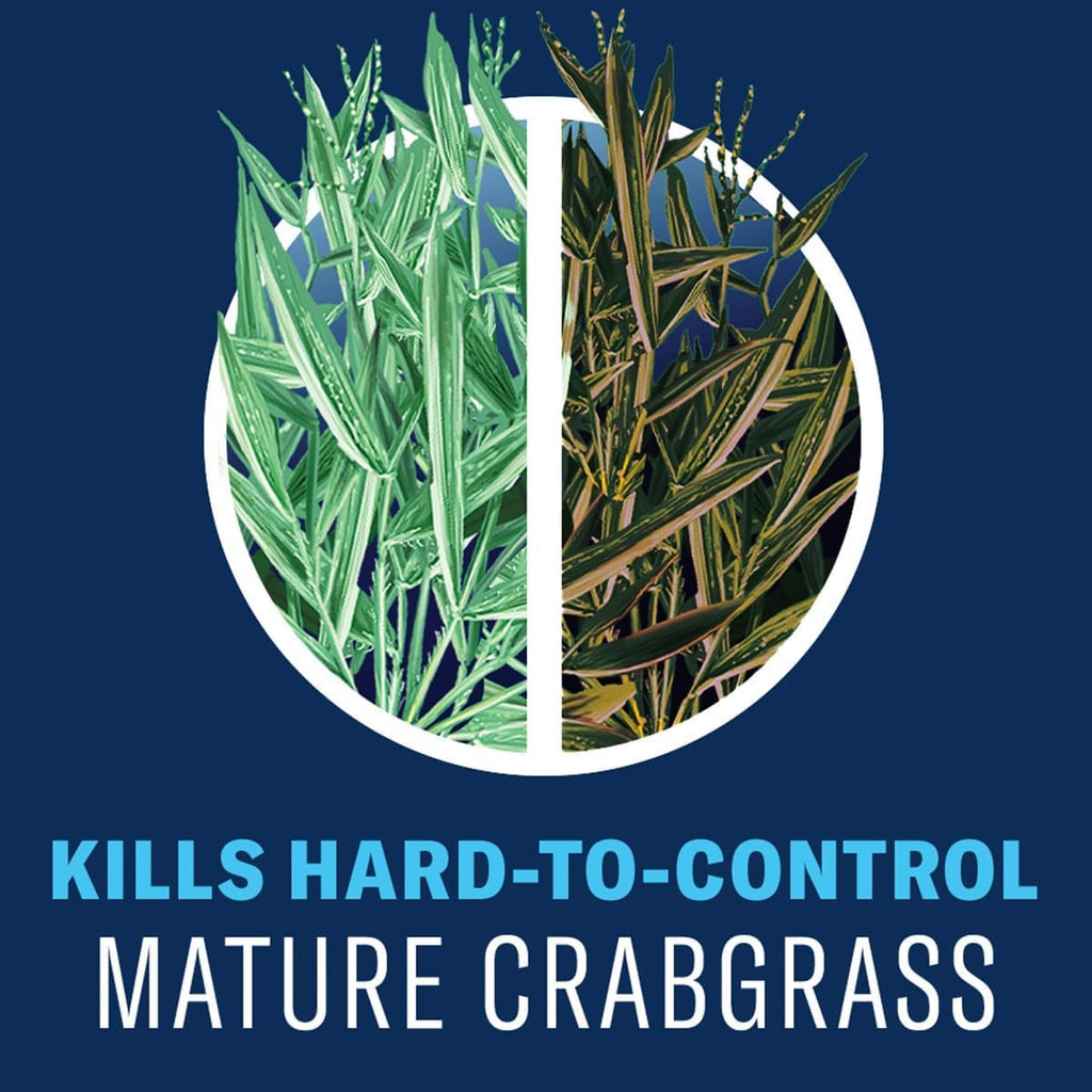 Lawn Weed & Crabgrass Killer Concentrate M100