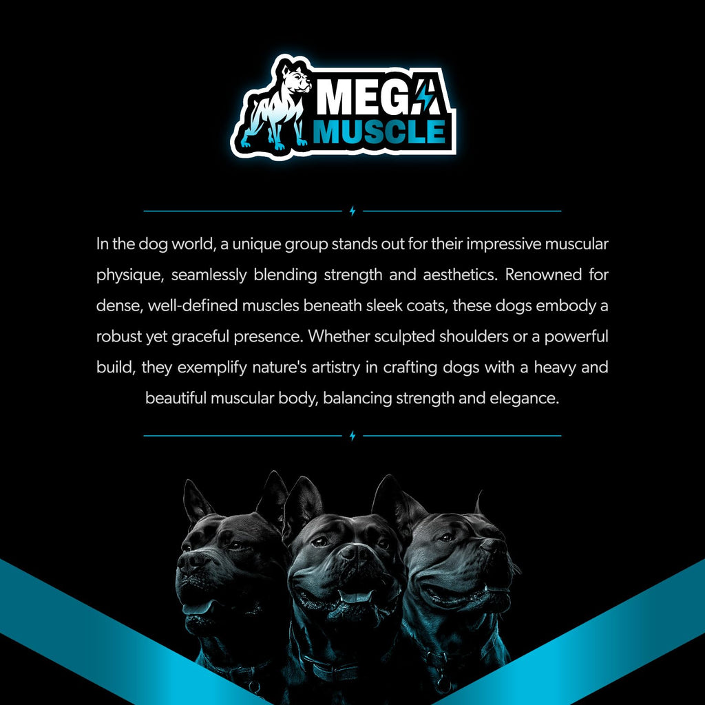 Dog Muscle Support Powder Blue Mussel Bone Broth Food Topper 3.2 oz C107