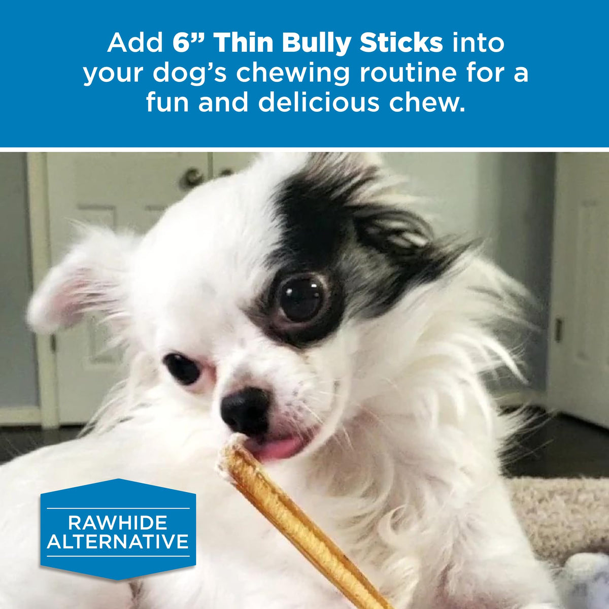 6 Inch Thin Bully Sticks 24 Count Natural Dog Treats E1868