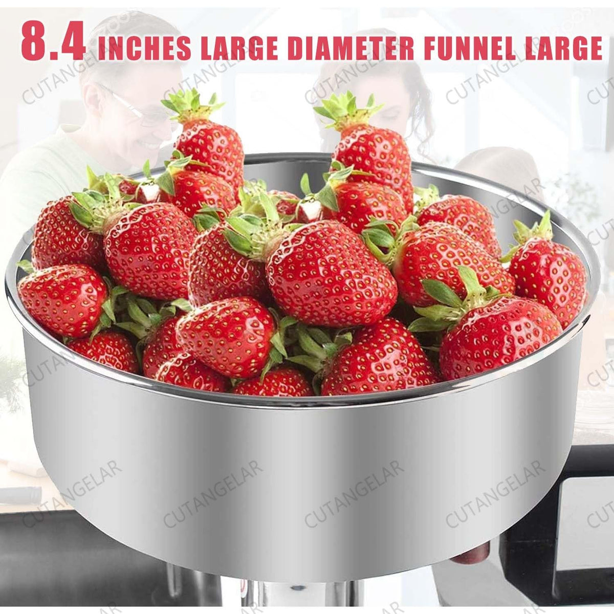 450W Stainless Steel Electric Tomato Strainer M6559