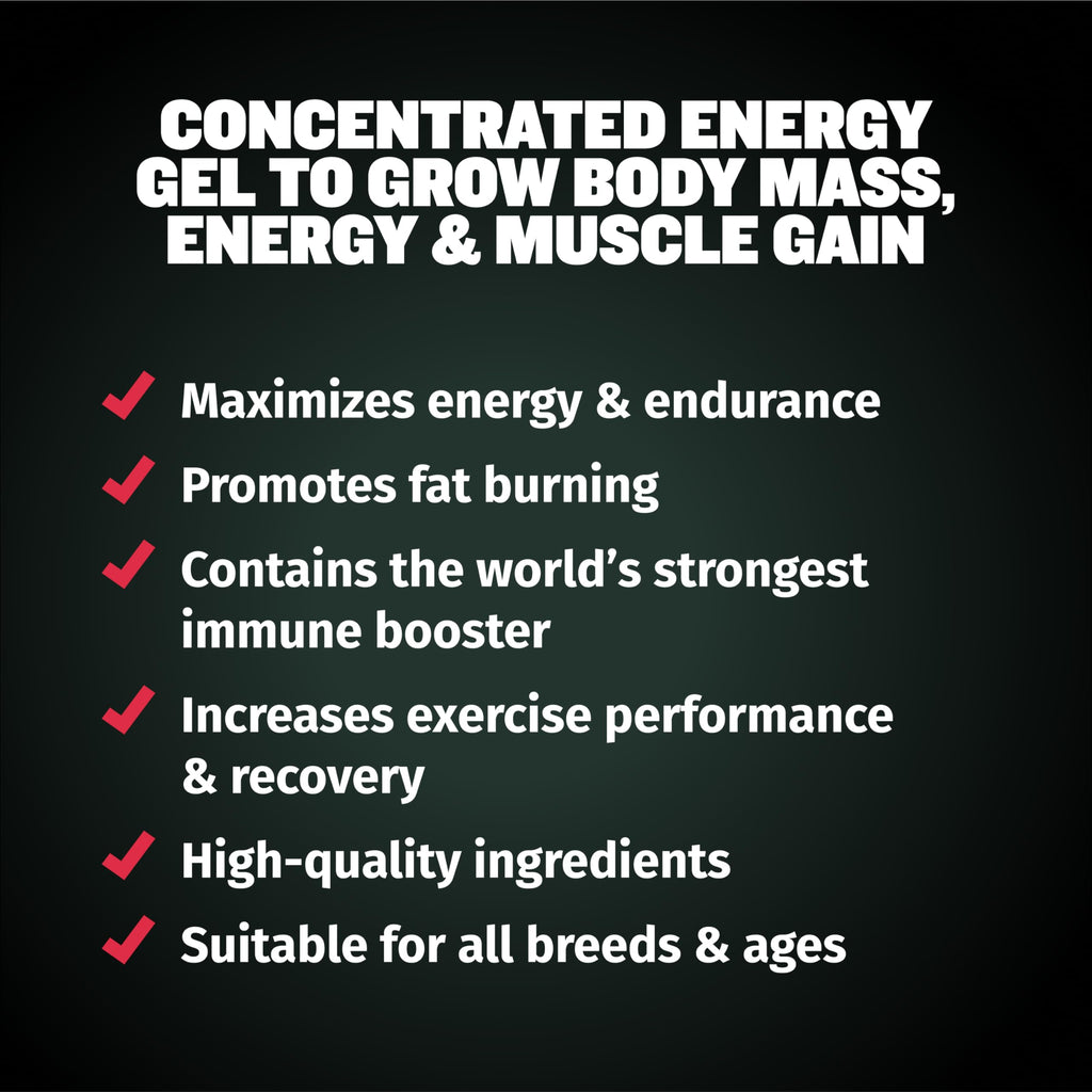 Dog Muscle & Weight Gain Liquid Bundle R123