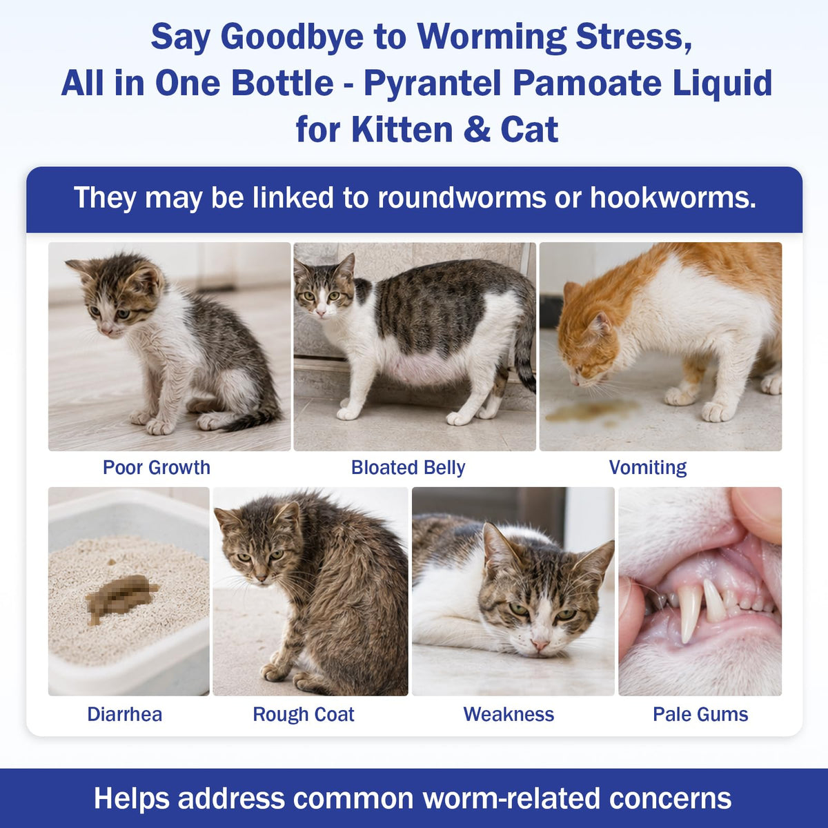 Pyrantel Pamoate Oral Dewormer for Cats & Kittens S72122