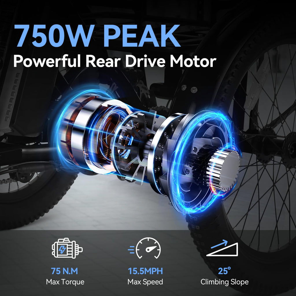 20'' Folding Electric Trike 750W 3-Wheel Bike with Removable Battery O17186