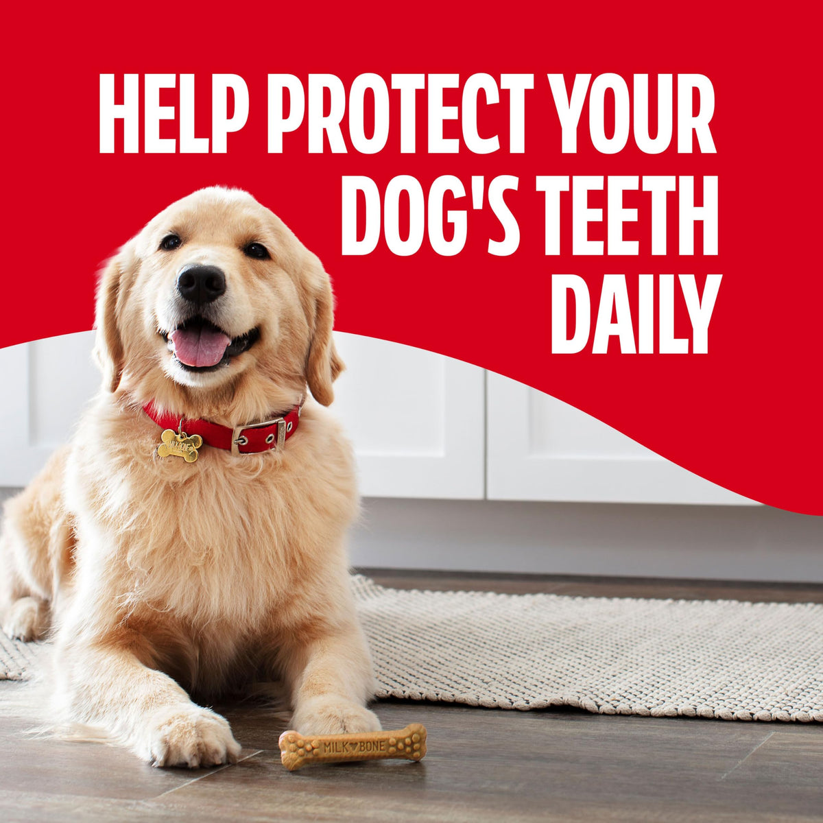 Large Daily Dental Dog Chews 33.7 oz Bag Q745367