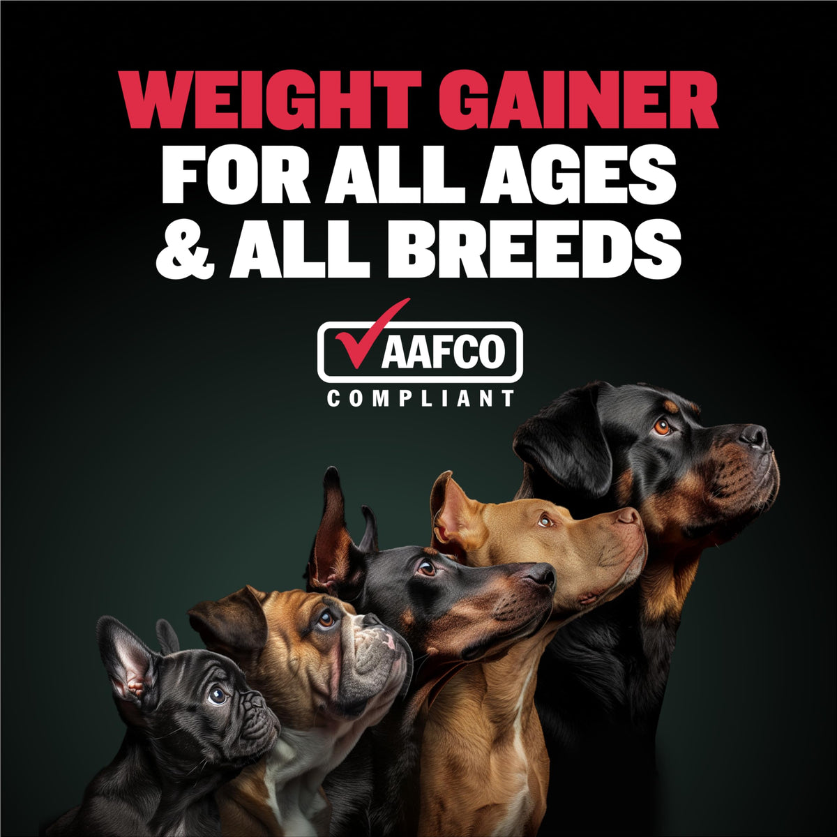 Dog Muscle & Weight Gain Liquid Bundle R123