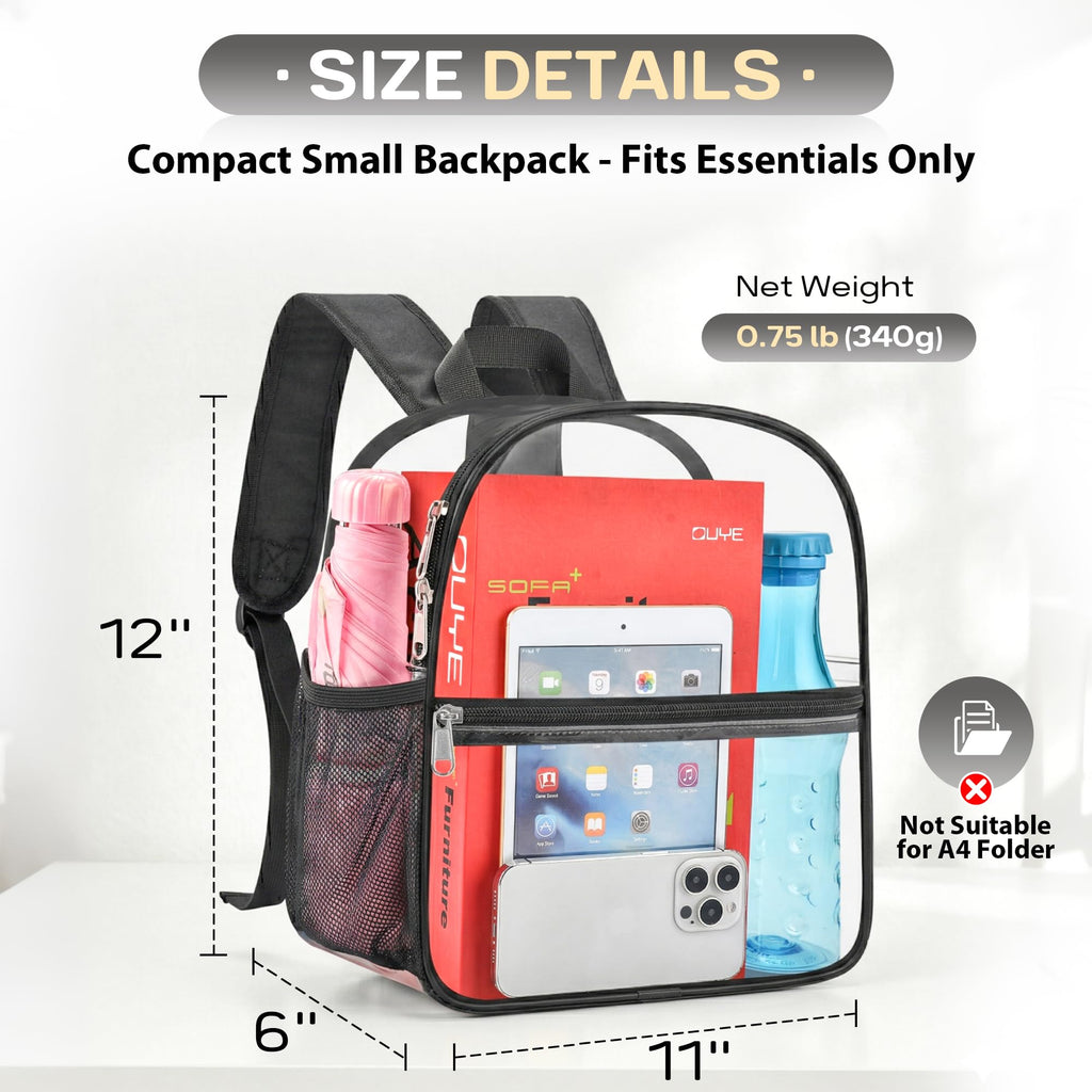 Clear Backpack 12x6x11 S923653