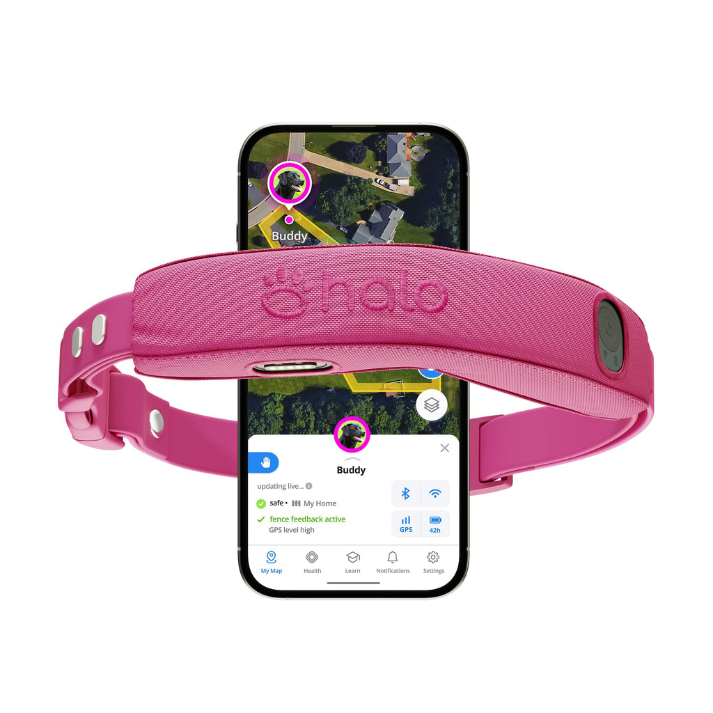 Wireless Dog Fence Y436357