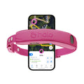 Wireless Dog Fence Y436357