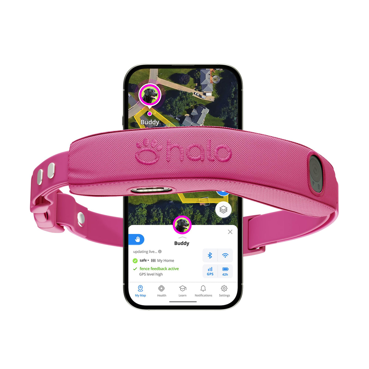 Wireless Dog Fence Y436357