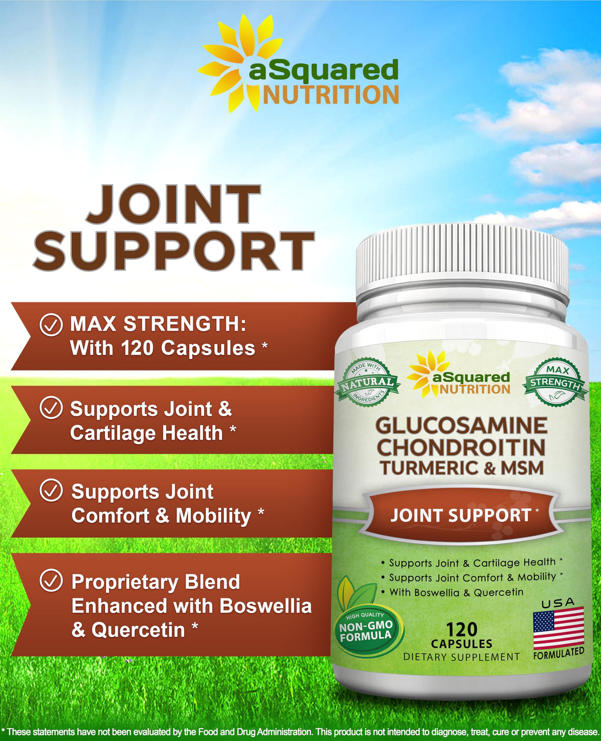 Glucosamine Chondroitin Turmeric MSM Boswellia 120 Capsules Supplement H278