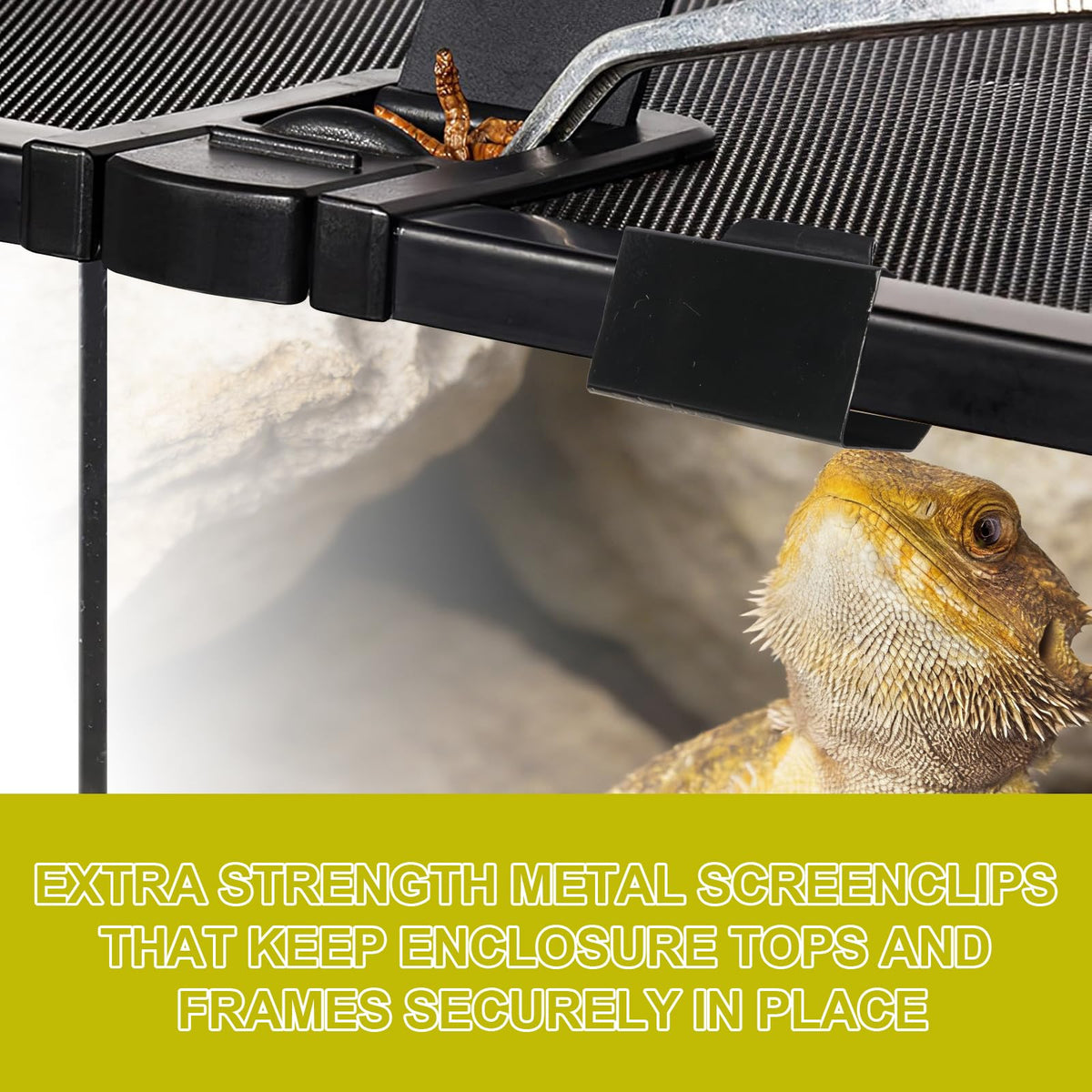 Heavy Duty Screen Clips for Reptile Terrarium Covers P99581