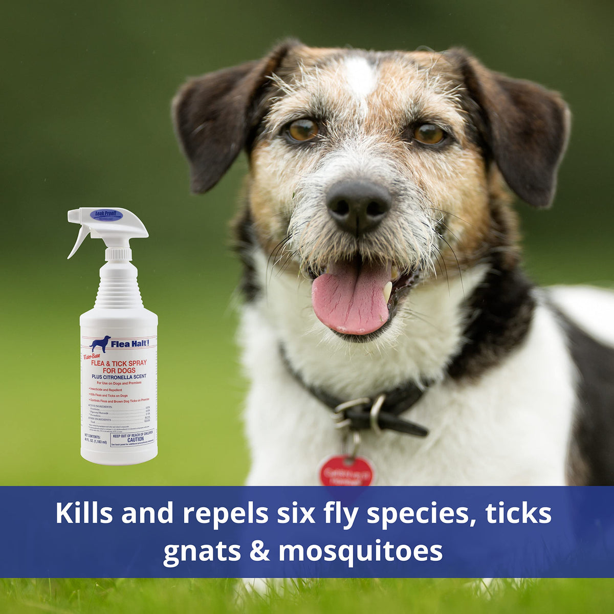Water-Based Flea & Tick Spray for Dogs, 40 fl oz P2264