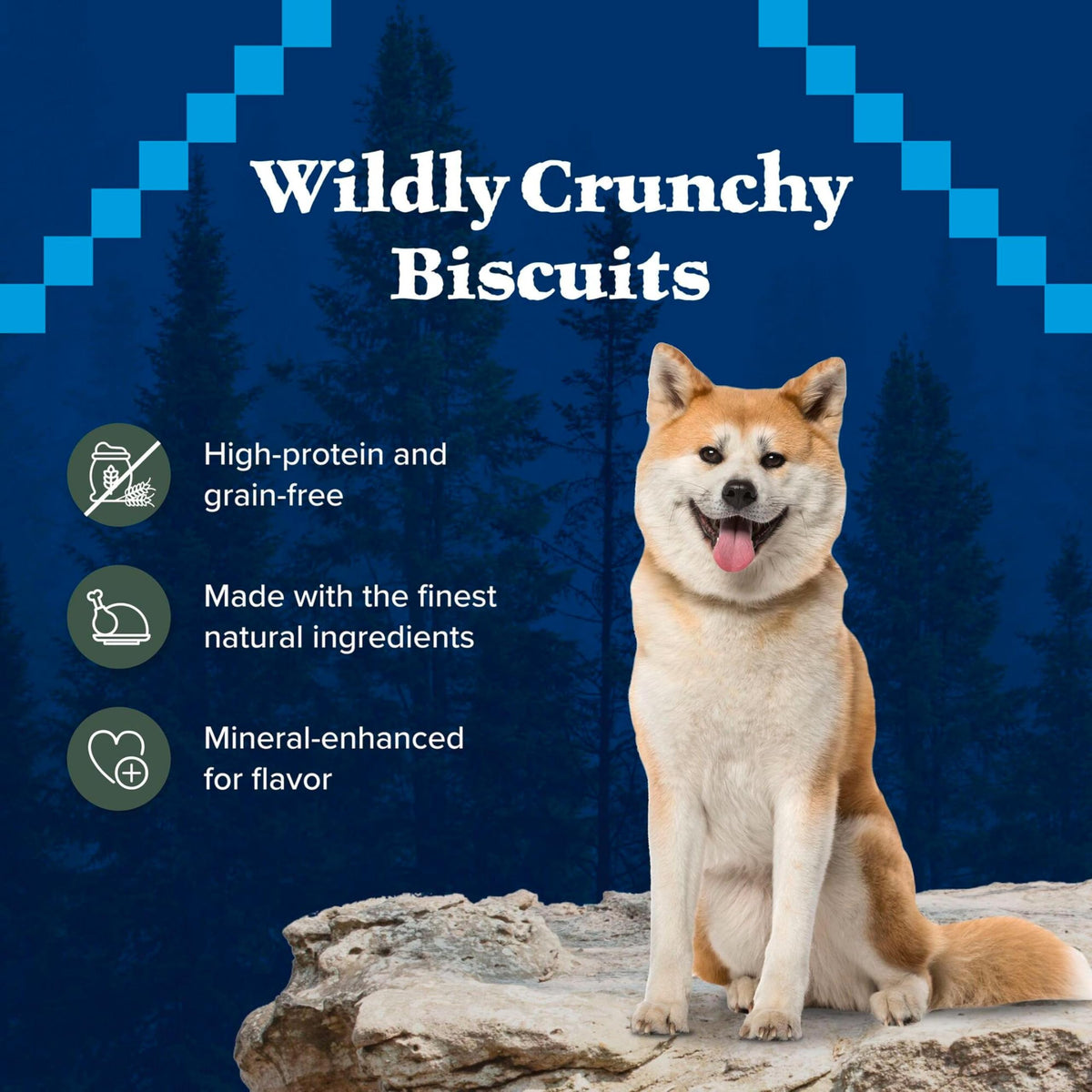 High Protein Grain Free Duck Recipe Dog Biscuits 36-oz E3198