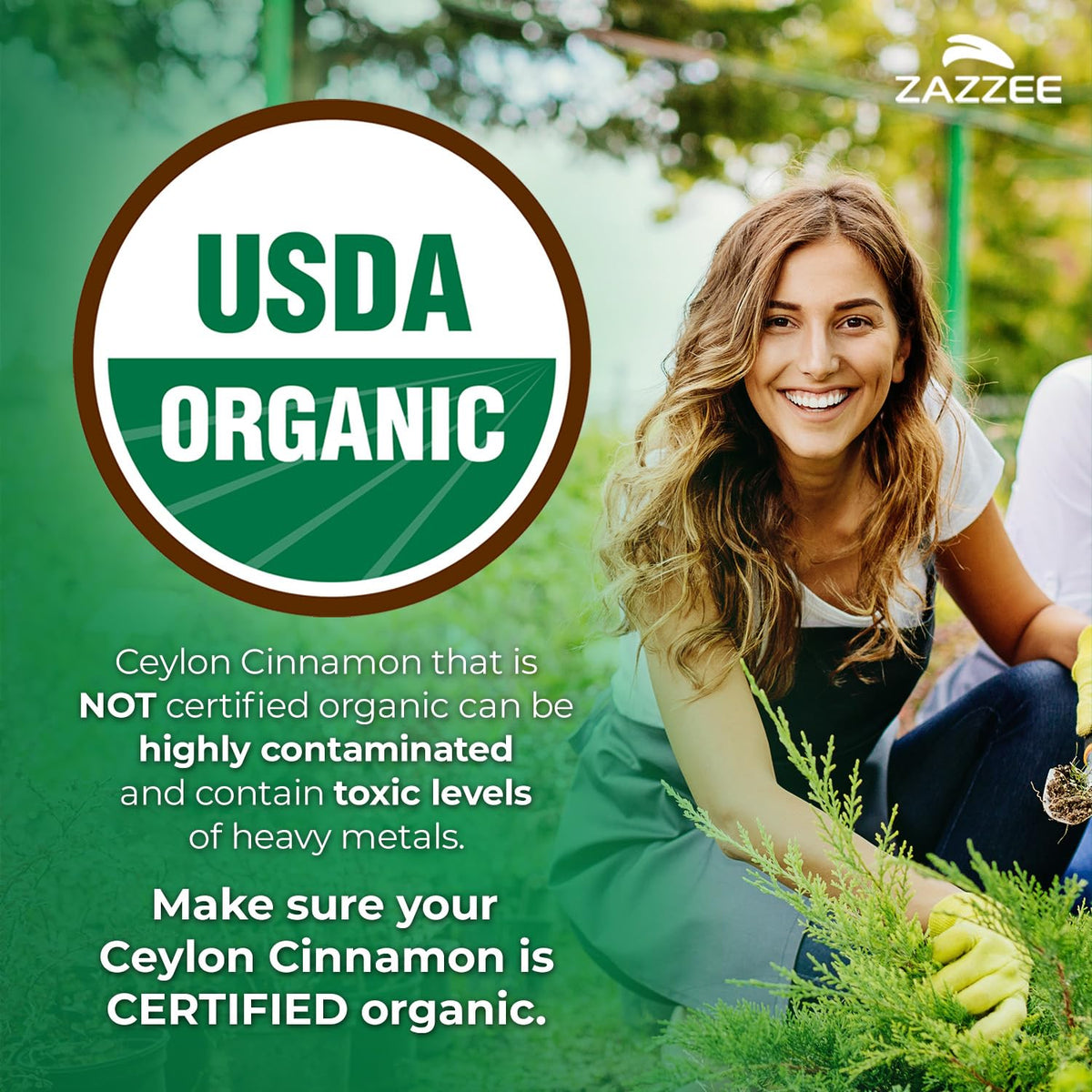 USDA Organic Ceylon Cinnamon 20:1 Extract 150 Capsules O206420
