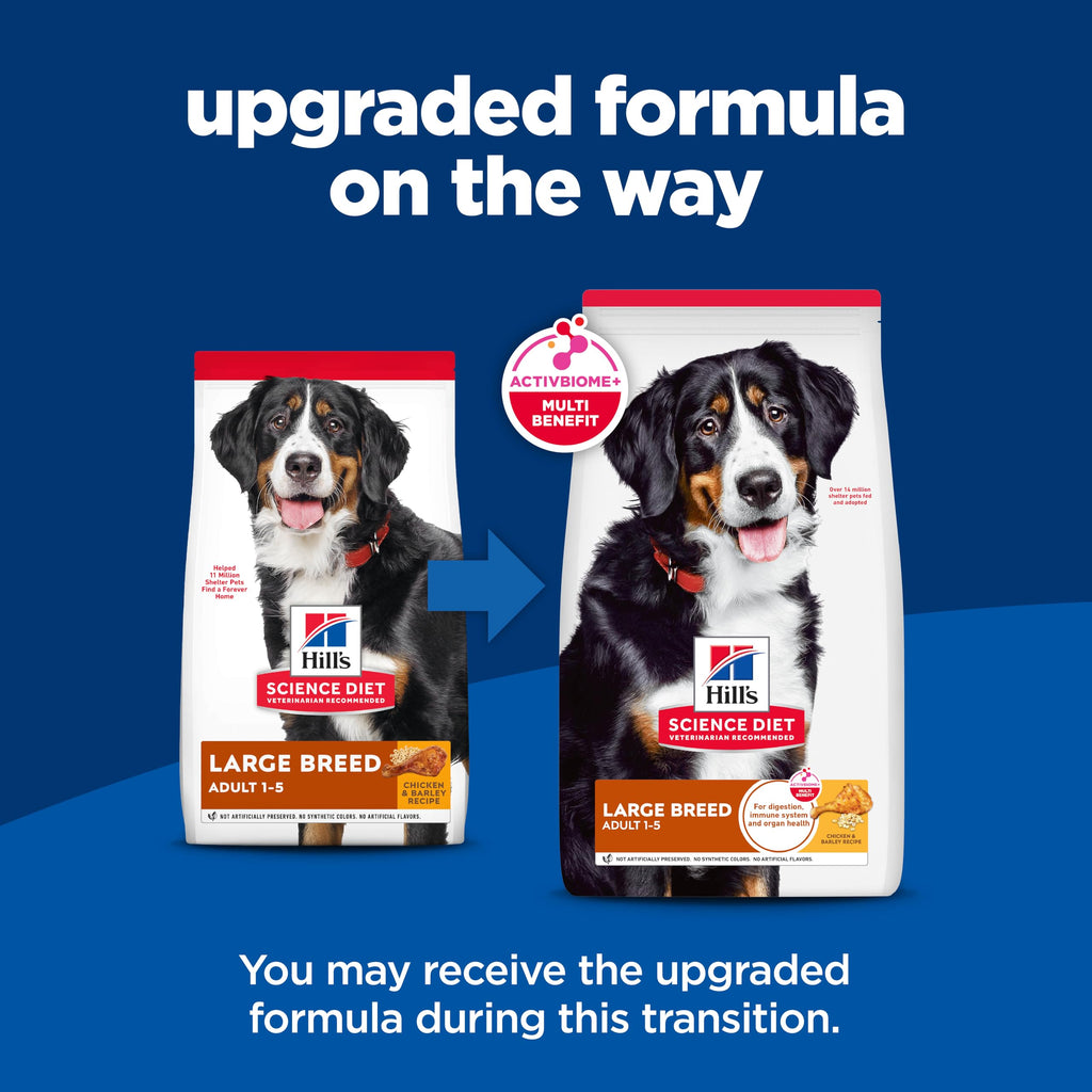 Large Breed Dry Dog Food I68005