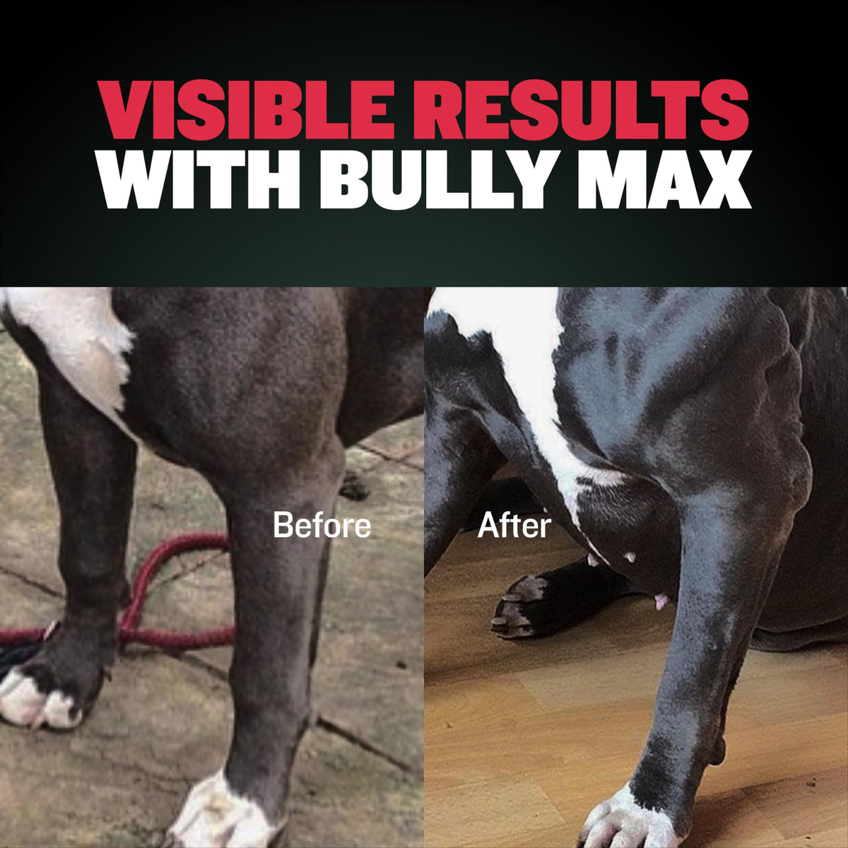 Dog Muscle & Weight Gain Liquid Bundle R123