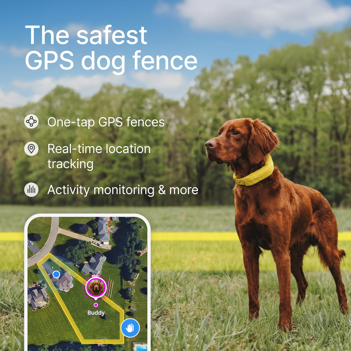Wireless Dog Fence Y436357
