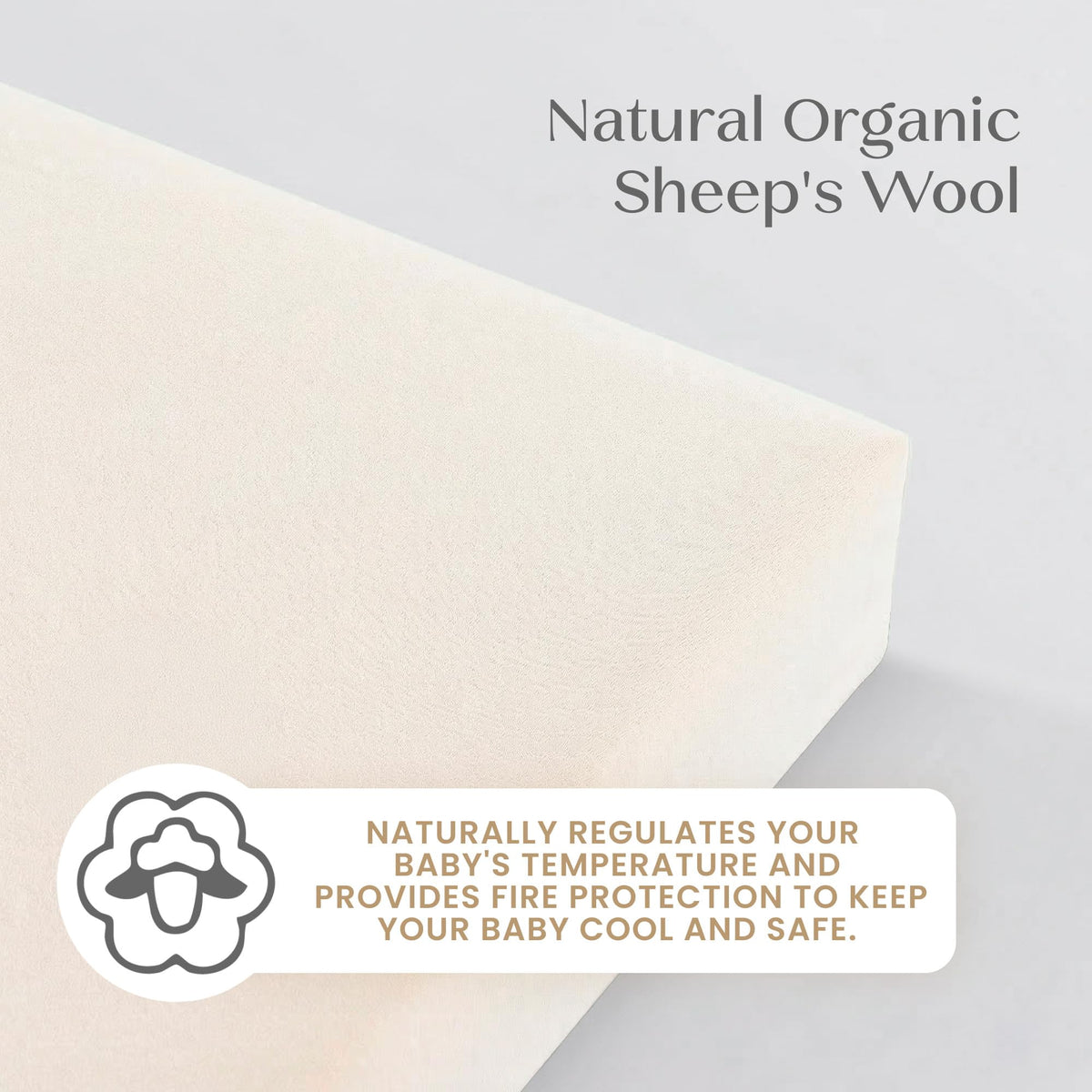 Organic Crib and Toddler Mattress J8779