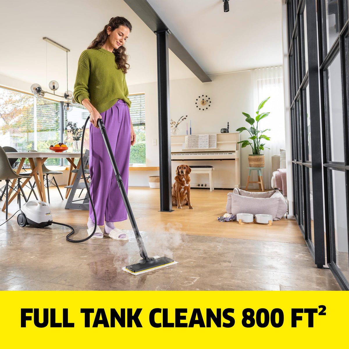Steam Cleaner, 40 Sec Heat-up, Chemical-Free D131